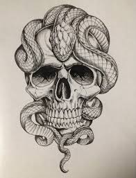 55 Ideas Tattoo Snake Skull Art Snake Sketch Snake Tattoo Design Skull Art
