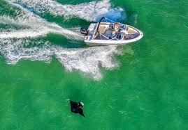 Official account for the city of west palm beach. Manta Ray Nursery Discovered Along Southeast Florida Coast