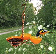 We did not find results for: Attracting And Feeding The Orioles In Your Neighborhood Bird Feeders Oriole Bird Feeders Oriole Bird