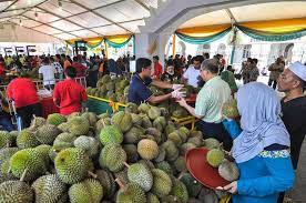 Flat rice noodles are fried in a wok, then oil is added, then minced garlic and fresh prawns. Penangites Get Ready To Eat All The Durians In The World For Only Rm15 At This Festival News Rojak Daily