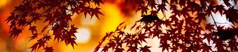 Of or relating to autumn. Autumn Prayers