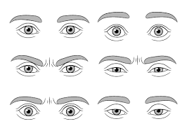How To Draw Eye Expressions Step By Step - Easydrawingtips