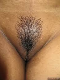 Vagina Pubic Hair Styles - 59 photos