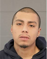 ᐅ Illinois Criminal Records 2009-2025