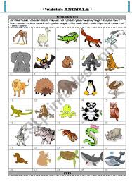 The pygmy marmoset is the smallest type of monkey, with adults weighing between 120 and 140 grams. Vocabulary Animals Esl Worksheet By Tgaldo
