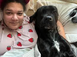 Chance (white) and George ( Shepherd) Then them with their walker after the  New Orleans snow