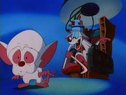 That Smarts 1995 The Internet Animation Database Rhinoceros is most intelligent ungulate. the internet animation database