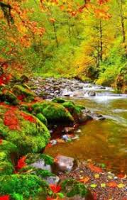 Gambar alam untuk wallpaper gudang wallpaper dinding kamar us 8 56 49 off custom 3d photo wallpaper hd forest mountain lake natural landscape large wall painting living room background mural wallpaper in. Download Wallpaper Android 3d Terbaru Liputanteknologi