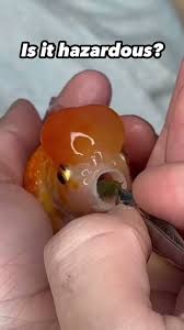 Jonah Hill'S Best Moments In The Wolf Of Wall Street