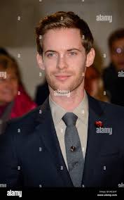 Street cat named bob hi-res stock photography and images