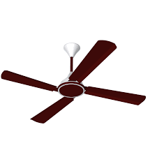 Best fan list in may, 2021. Conion Ceiling Fan Signature 56 4 Blades Brilliant Maroon Buy2day Com Bd