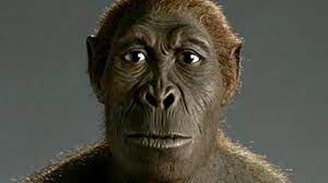 Können sie mir bitte auch die informationen über sehenswürdigkeiten und hoteladressen geben? Geschichte Die Evolution Des Menschen Geolino