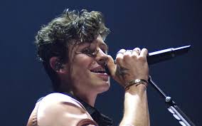 Camila cabello and boyfriend shawn mendes got a dose of vitamin d in miami over the weekend amid the coronavirus pandemic. Shawn Mendes Also Doch Mit Camila Cabello Knutschend In Miami
