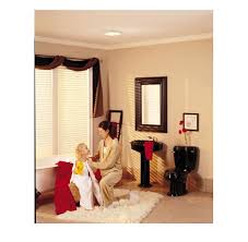 Panasonic Bathroom Fans With Light Great Cleaning Buddies