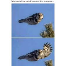 Clean Memes 11 01 2019 Afternoon Looking for the best chicken nugget meme? clean memes 11 01 2019 afternoon
