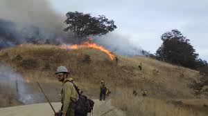 View job description, responsibilities and qualifications. Fire Management Redwood National And State Parks U S National Park Service