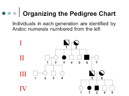 A Family History Of Genetics Ppt Download