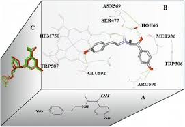 Image result for Ritodrine