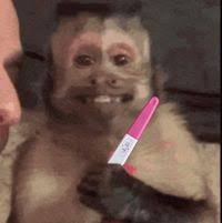 MAYRELI RUBI SOLANO VEGA (mayrelirubis)