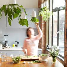 Learn how to design your kitchen garden with some kitchen garden plans and potager design examples. Vertical Kitchen Gardening Ideas Eatwell101