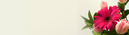 All Obituaries Lawrence Jackson Funeral Home Laurinburg Nc Funeral Home And Cremation