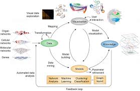 High school, college/university, master's or phd, and we will assign you a writer who can satisfactorily meet your professor's expectations. Molecular Networks In Network Medicine Development And Applications Silverman 2020 Wires Systems Biology And Medicine Wiley Online Library