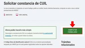 Para poder sacar el cuil por primera vez se deberá gestionar en una oficina de anses sin turno previo con el número de dni. Https Xn Lanacin Q0a Com Ar Constancia De Cuil