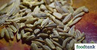 They provide the insurance opportunity for species lost in the wild to be reintroduced. 27 Organizations Working To Conserve Seed Biodiversity Food Tank