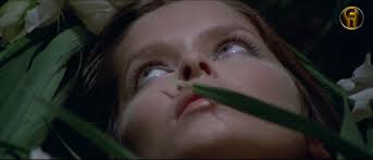 Culturalmente Inc (@Culturalmentein)