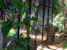 So Regal Mysore Zoo Officially The Sri Chamarajendra Zoological Gardens Mysore Zoo Zoological Garden Zoo