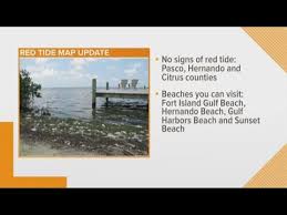 Red Tide At Tarpon Springs Beaches Living In Tampa Bay
