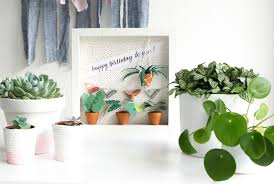 Geldgeschenke kleine geschenke basteln schneekugeln zwiebel glas selber machen terrarien dekoideen für die wohnung. Geldgeschenk Basteln Zum Geburtstag Im Trendigen Urban Jungle Style