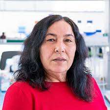 Georg-Speyer-Haus: Our Team