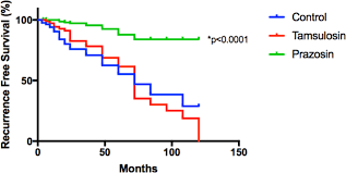 Recurrent prostate cancer • radiotherapy, androgen deprivation therapy or radical prostatectomy may be used to treat a recurrence. A Pilot Retrospective Analysis Of Alpha Blockers On Recurrence In Men With Localised Prostate Cancer Treated With Radiotherapy Scientific Reports