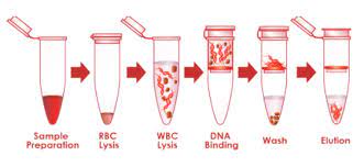 Advanced biotechnologies not only increase productivity in terms of manufacturing, but also the purity and effectiveness extracted and preserved health botanicals and active ingredients. I Dna Biotechnology M Sdn Bhd Dna Informasi