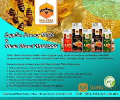 Madu dihasilkan oleh lebah dan kelulut dari nektar bunga tanaman. Grosir Wa 0812 3252 2251 Tsel Grosir Khasiat Madu Randu Malissa Di Semarang Semarang Jualo