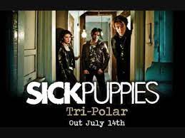 Connect your spotify account to your last.fm account and scrobble everything you listen to, from any spotify app on any device or platform. Sick Puppies You Re Going Down Radio Edit Youtube