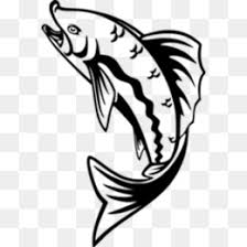 Printable bass fish coloring pages. Fish Coloring Pages Png Small Fish Coloring Pages Fish Coloring Pages Kindergarten Cute Fish Coloring Pages Fish Coloring Pages Printable Fish Coloring Pages For Adults Funny Fish Coloring Pages Drawing Fish Coloring Pages School Of Fish Coloring