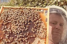 Carol Letts's Instagram, Twitter & Facebook