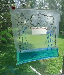 Le Cycle De L Eau L Ecole Oui Mais A La Maison Cycle De L Eau Idees D Activites Pour Les Enfants Science Amusante