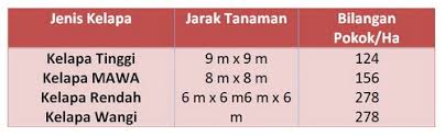 Jual bibit kelapa gading, bibit kelapa, jual bibit kelapa, petani bibit kelapa, agent bibit kelapa, harga bibit kelapa pembibitan di lakukan dengan menggunakan tenaga ahli yang sudah berpengalaman dan dapat menghasilkan bibit yang baik pr!fil tanaman kelapa matag 11.1. Panduan Lengkap Menanam Kelapa Dan Varieti Kelapa Di Malaysia Encikshino Com