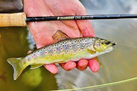 This rod works nicely at close distances yet can make longer casts when needed. Ajf 1wt Fly Line Nalan Com Sg