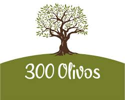 300olivos.nl