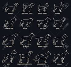 Vous recherchez un nom de chien en d, aucun soucis, cette liste est faîte pour vous. Collection D Icones Vectorielles De Chien Mince Avec Des Noms De Race De Chien Sur Fond Sombre Pour Club De Chien Ou Boutique Toilettage Formation Nourriture Ou Clinique Veterinaire Clip Art Libres De
