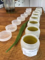 Baume Au Plantain Fait Maison Isabelle Schillig Naturo A Uriage Recettes De Beaute Naturelles Soins Naturels Recette Beaute