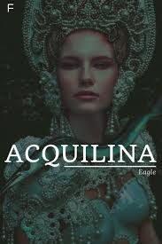 Acquilina