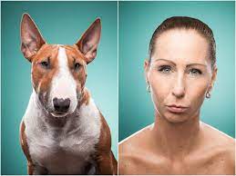 See actions taken by the people who manage and post content. Portraits Of People Looking Like Their Dogs Petapixel