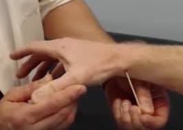 Study Gross Anatomy Palpation Lab 5 Flashcards Quizlet Like the rest of the forearm and hand. study gross anatomy palpation lab 5