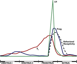 Sexual Behavior An Overview Sciencedirect Topics