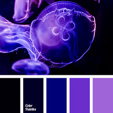 Check spelling or type a new query. Purple Shades Page 3 Of 4 Color Palette Ideas